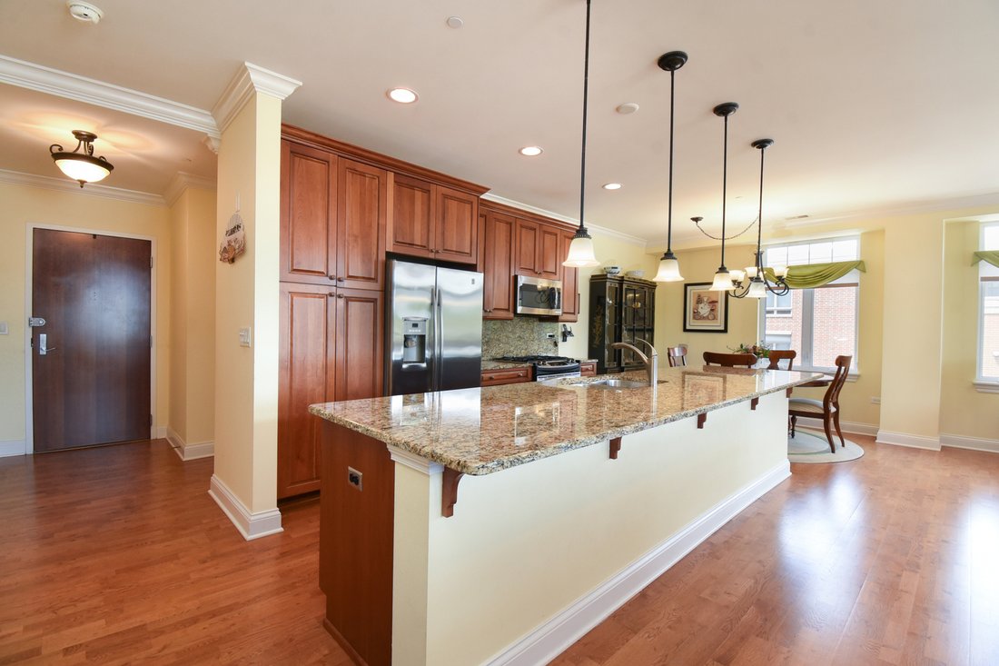 Condo in Park Ridge, Illinois, United States 2 - 18552224