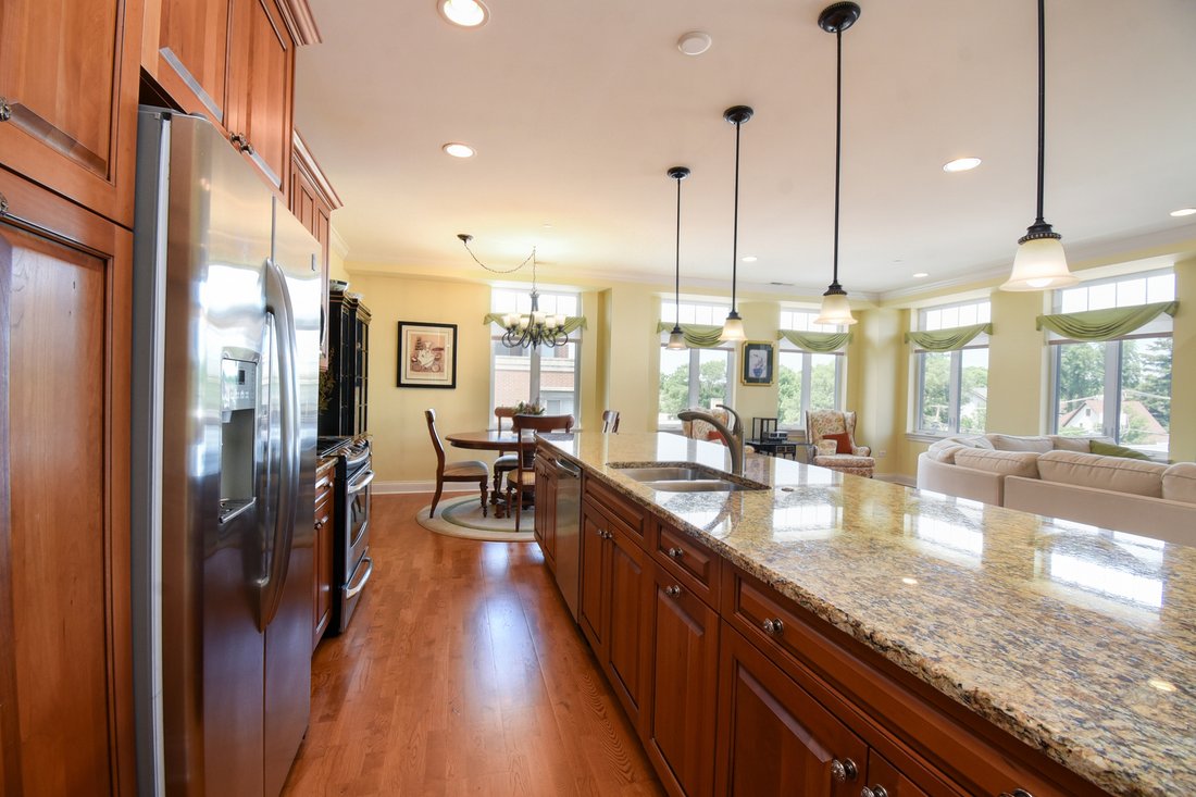 Condo in Park Ridge, Illinois, United States 5 - 18552224