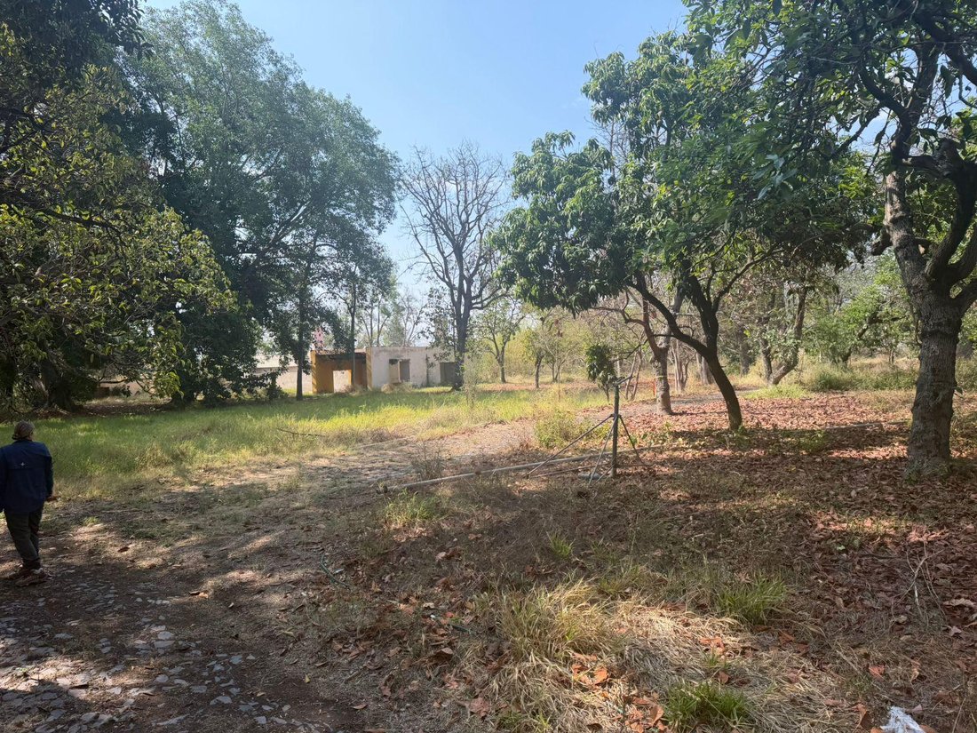 Land in Tlaquepaque, Jalisco, Mexico 1 - 18550576