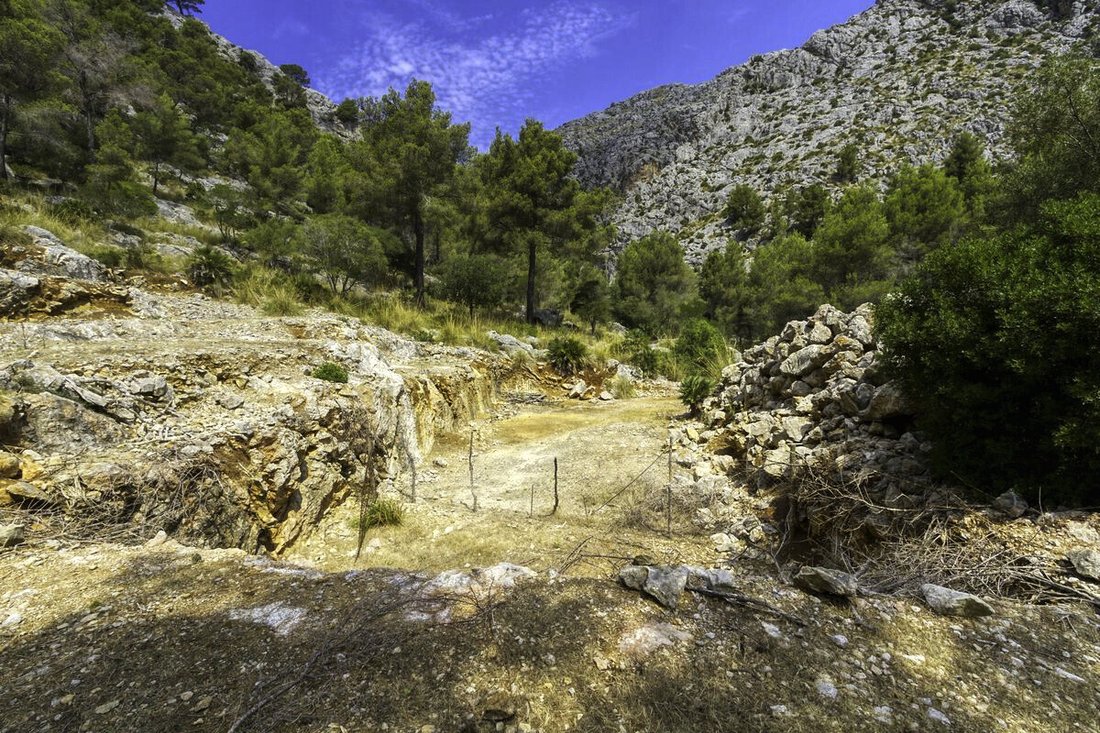 Terreno a Pollença, Isole Baleari, Spagna 5 - 18549222