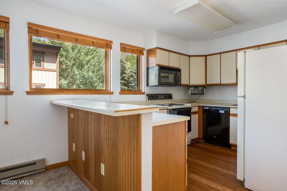 Condo in Vail, Colorado, United States 5 - 18551235