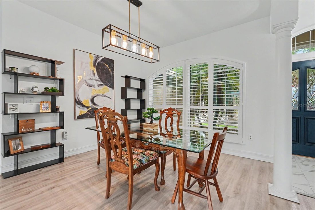 House in Odessa, Florida, United States 4 - 18551541