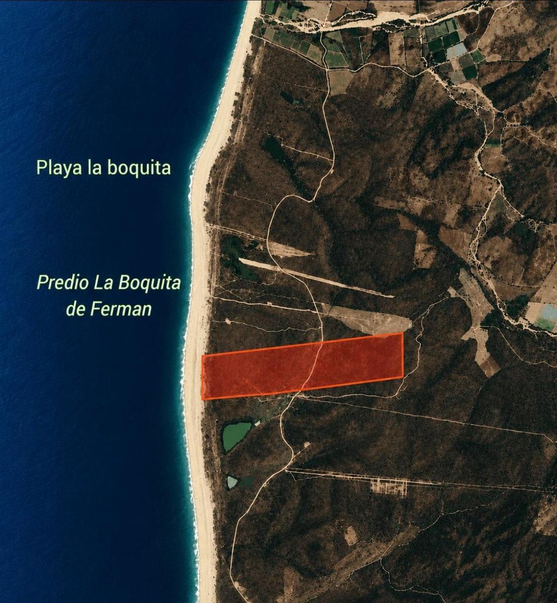 Land in El Realito, Jalisco, Mexico 4 - 18550563