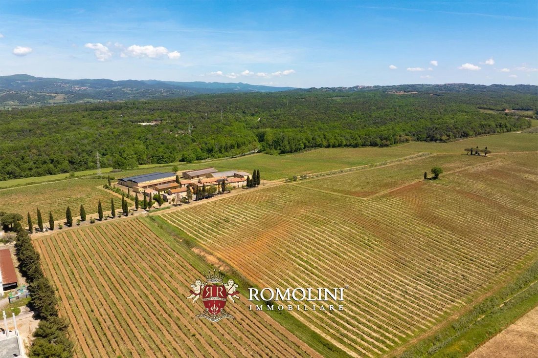 Estate in Montescudaio, Tuscany, Italy 4 - 18541332