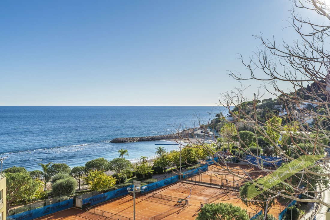 Apartment in Cap-d'Ail, Provence-Alpes-Côte d'Azur, France 1 - 18552043