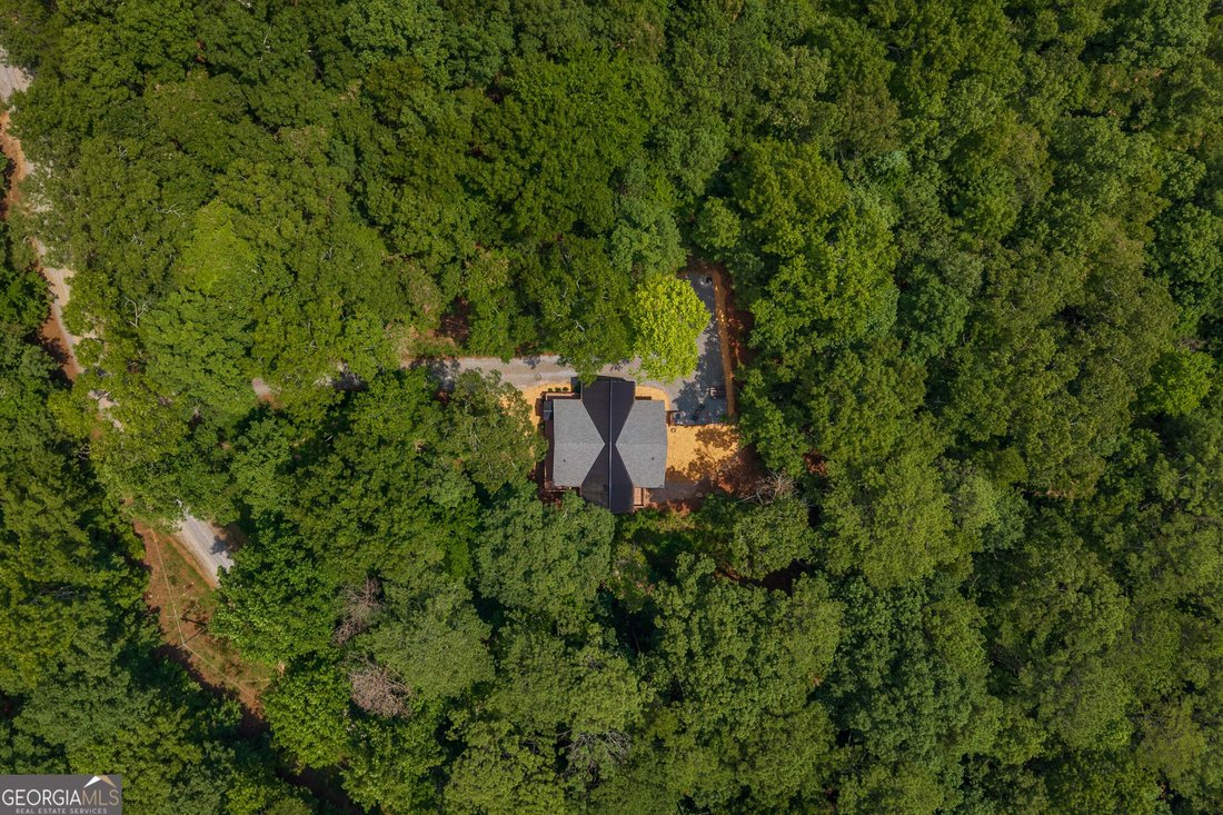 House in Ellijay, Georgia, United States 5 - 18535426