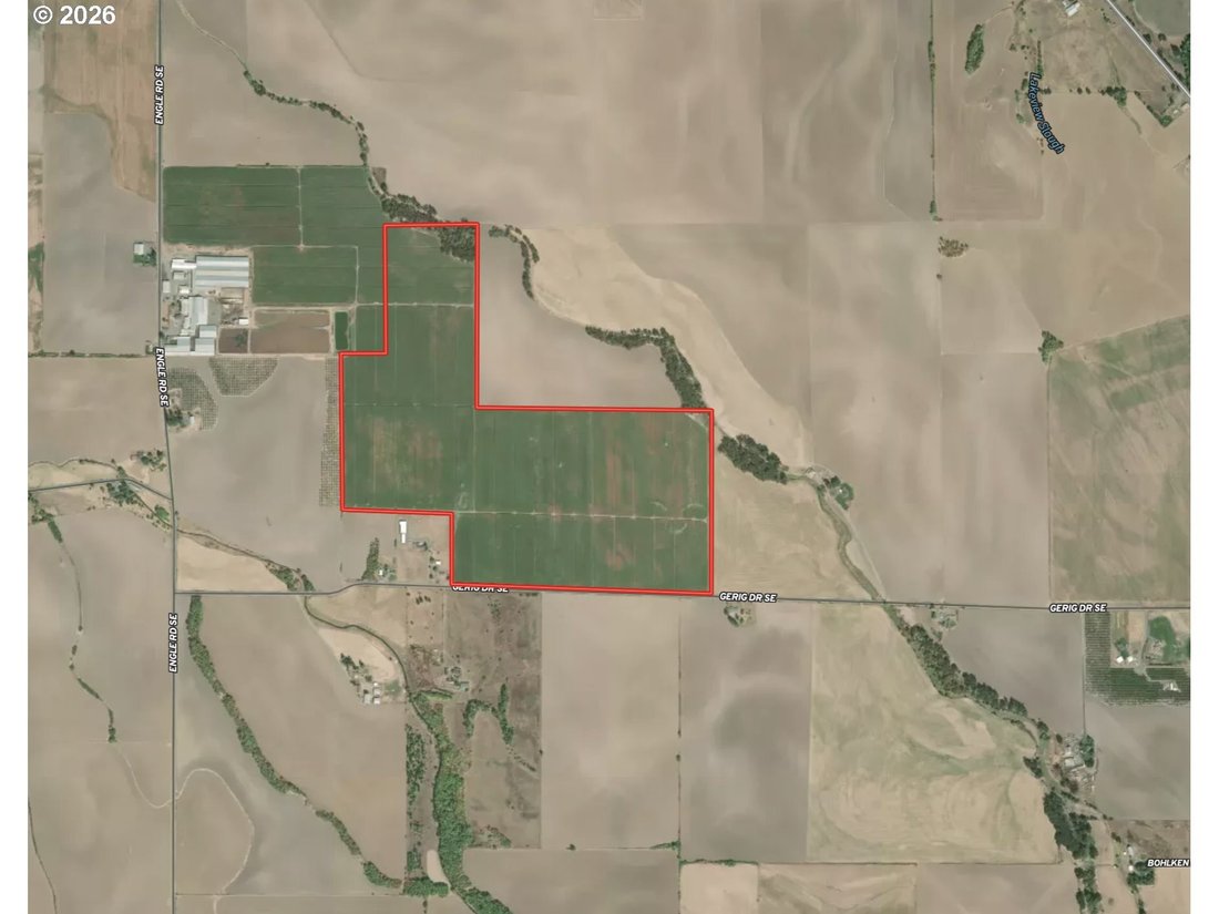 Azienda agricola a Albany, Oregon, Stati Uniti 3 - 18552262