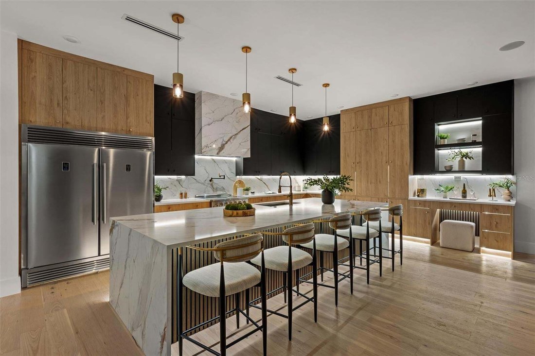 House in Tampa, Florida, United States 4 - 18551495