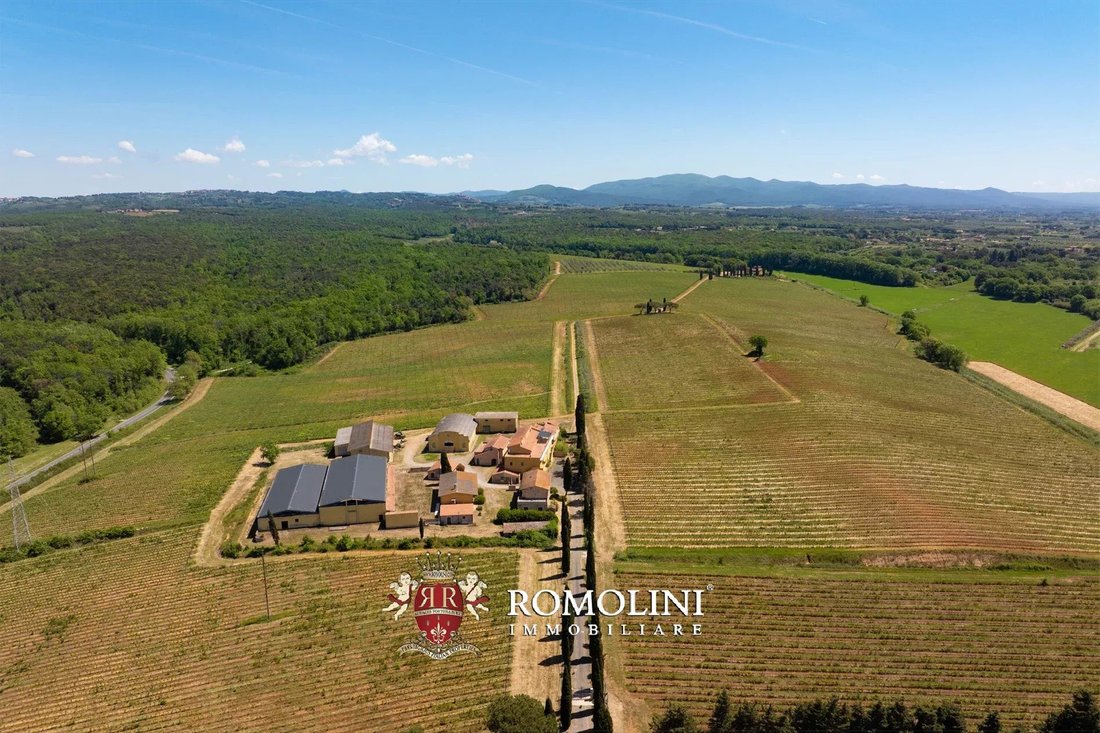 Estate in Montescudaio, Tuscany, Italy 3 - 18541332