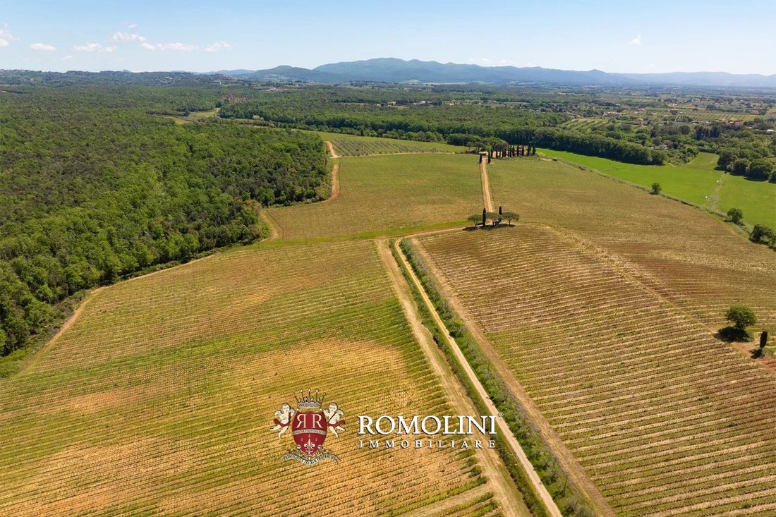 Estate in Montescudaio, Tuscany, Italy 5 - 18541332