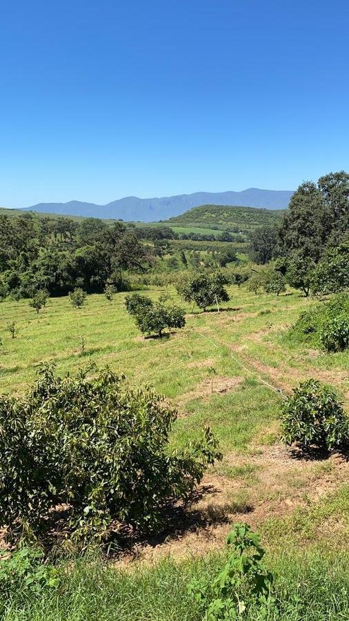 Land in San Gabriel, Jalisco, Mexico 3 - 18550458