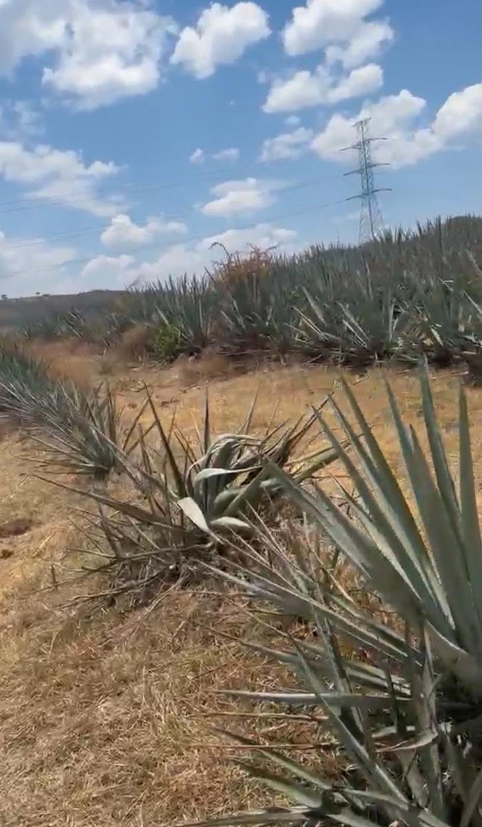 Land in Tlajomulco de Zúñiga, Jalisco, Mexico 2 - 18550577