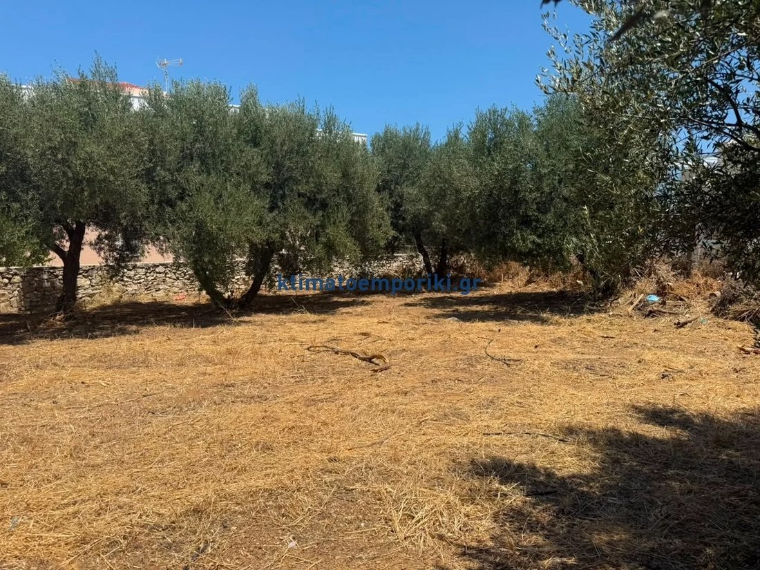 Land in Crete, Greece 4 - 18548239
