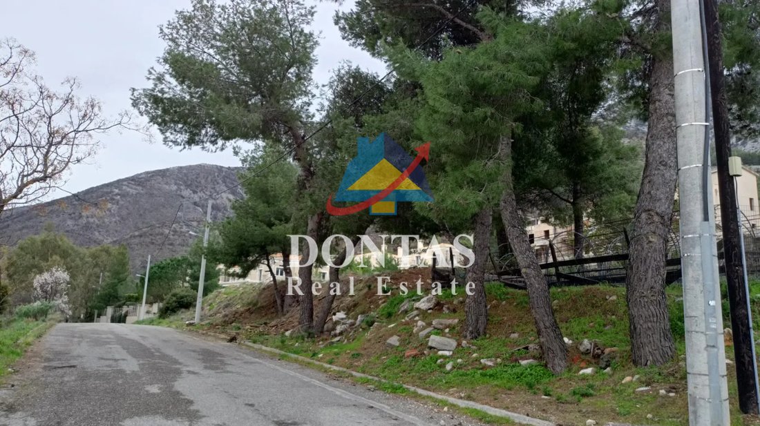 Land in Dionysos, Attica, Greece 5 - 18548214