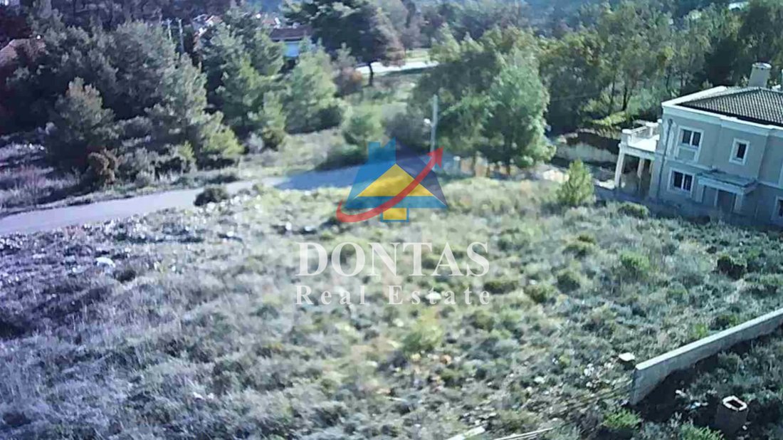 Land in Dionysos, Attica, Greece 4 - 18548214
