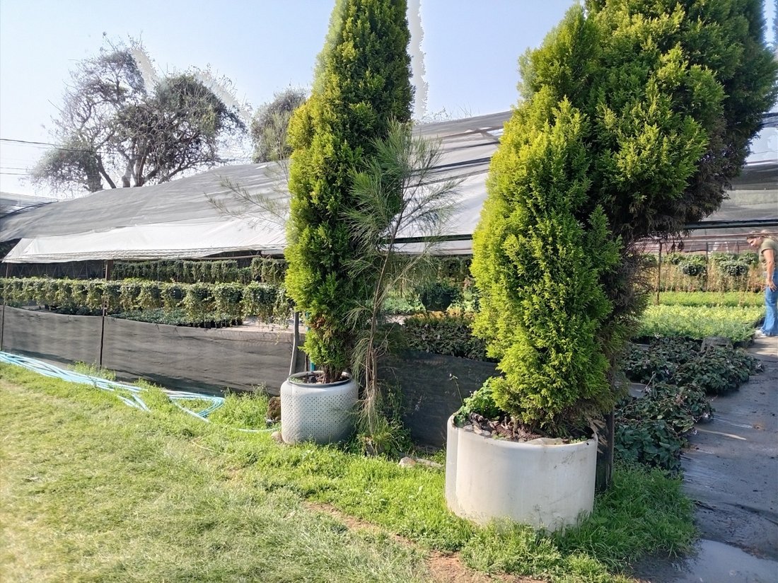 Land in Cuernavaca, Morelos, Mexico 5 - 18550500