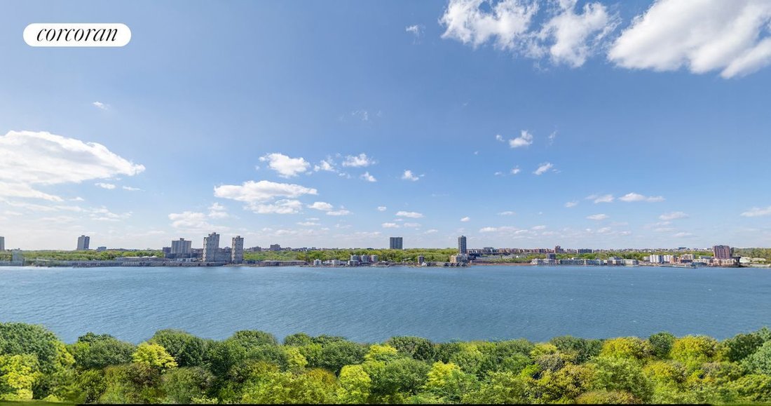Co Op in New York, New York, United States 1 - 15443894
