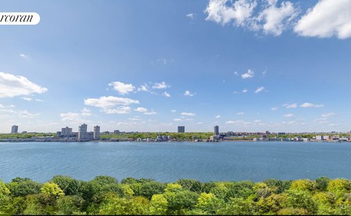 Co Op in New York, New York, United States 1