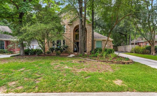 House in The Woodlands, Texas, United States 1