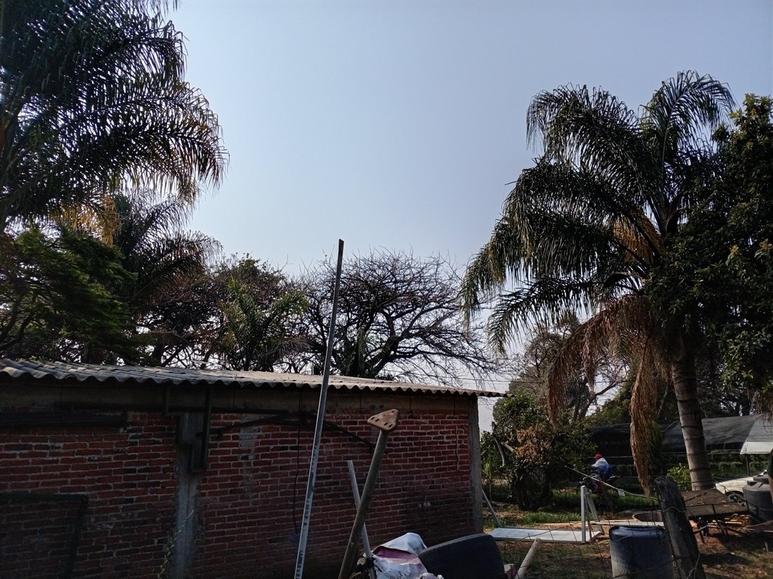 Land in Cuernavaca, Morelos, Mexico 3 - 18550500