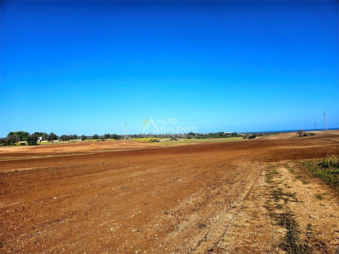 Land in Carovigno, Apulia, Italy 4 - 18551137