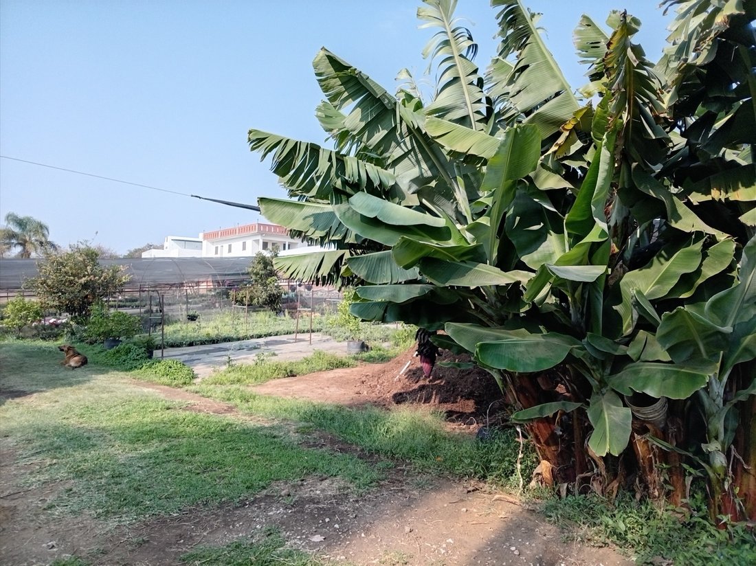 Land in Cuernavaca, Morelos, Mexico 1 - 18550500