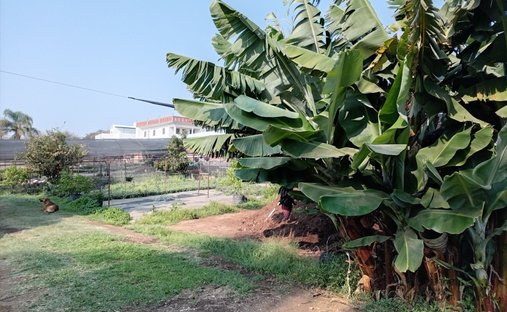 Terreno en Cuernavaca, Morelos, México 1