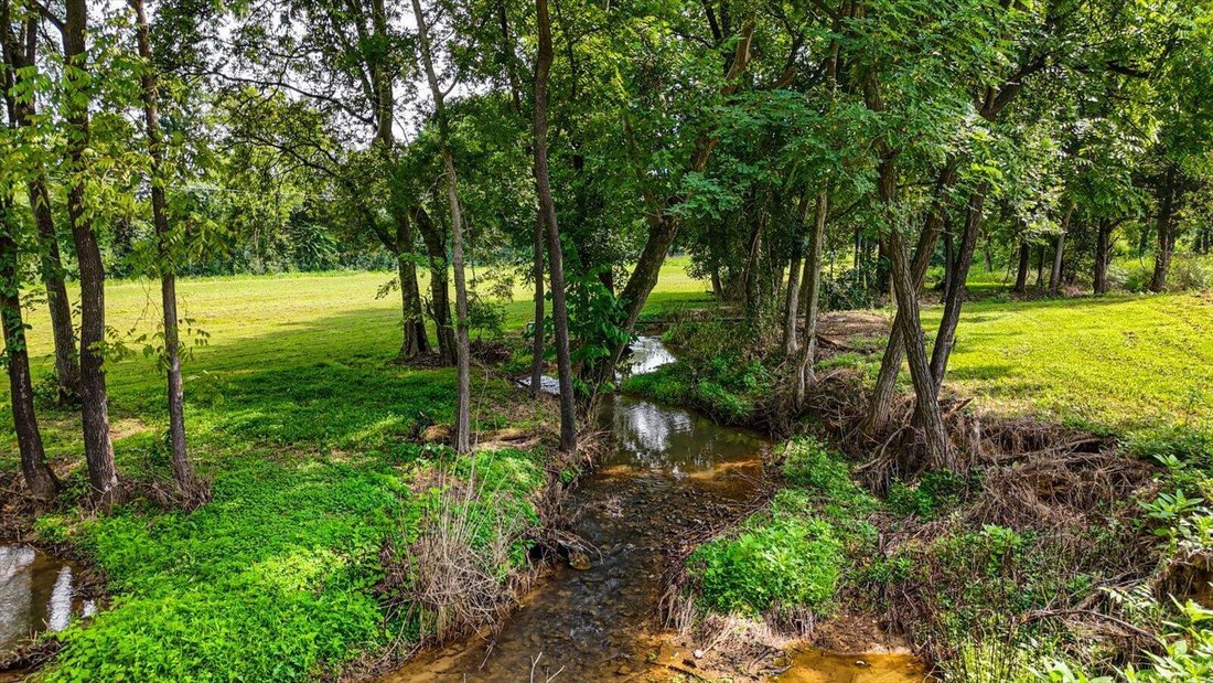 Whitwell, Tennessee, United States 4 - 18549894
