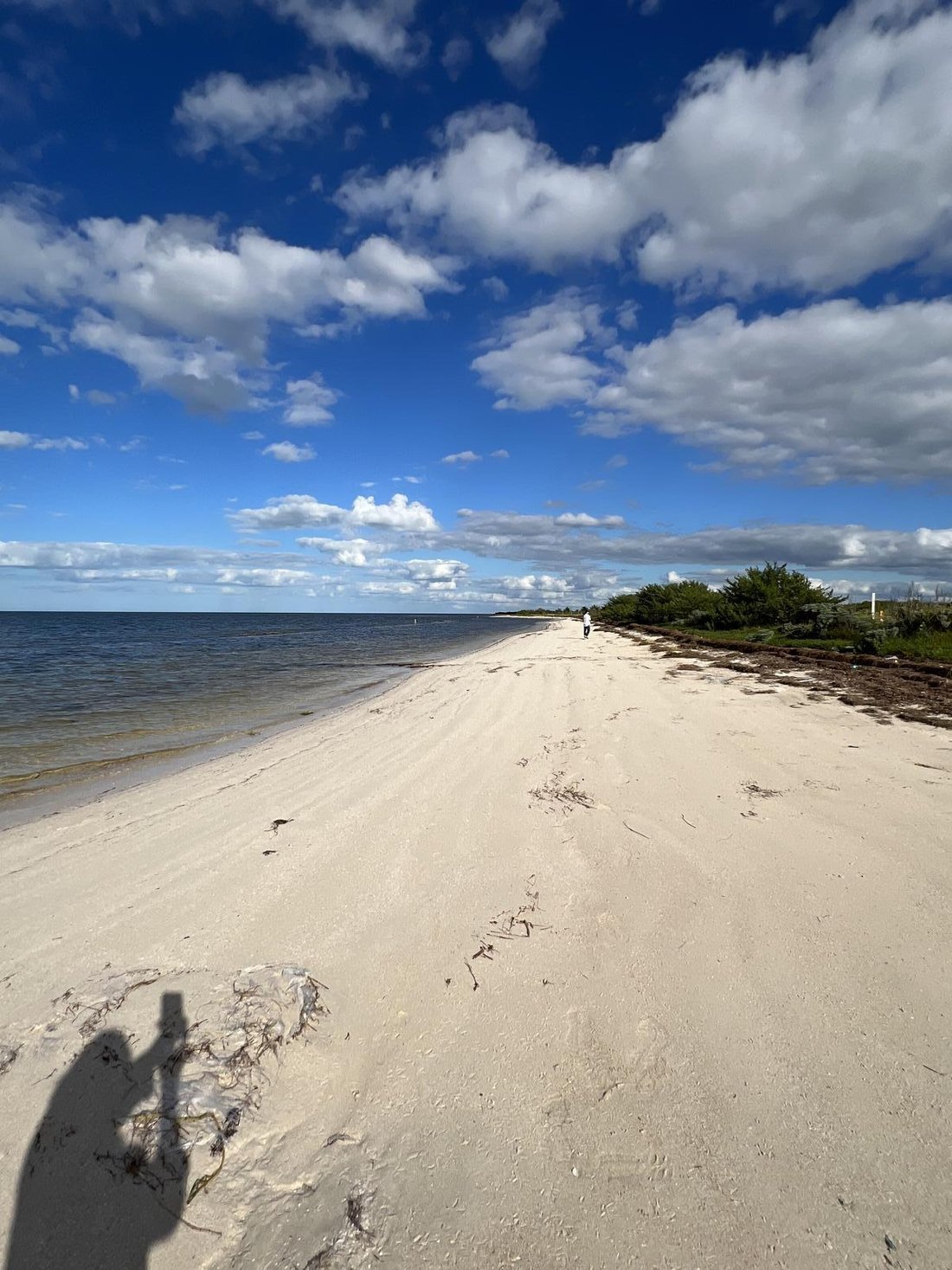 Land in Dzidzantún, Yucatan, Mexico 1 - 18549030