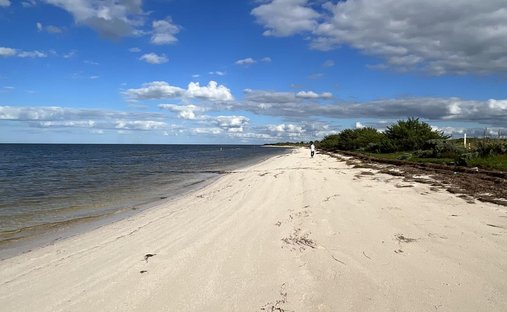 Land in Dzidzantún, Yucatán, Mexiko 1
