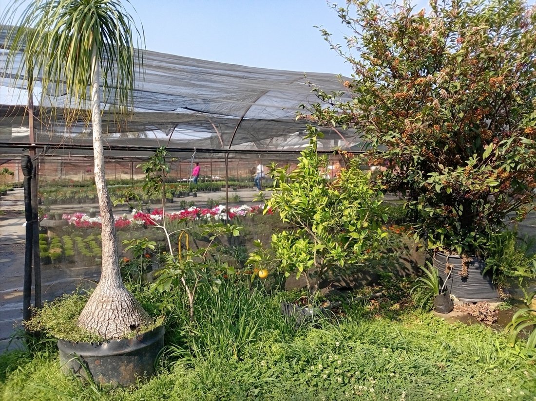 Land in Cuernavaca, Morelos, Mexico 4 - 18550500