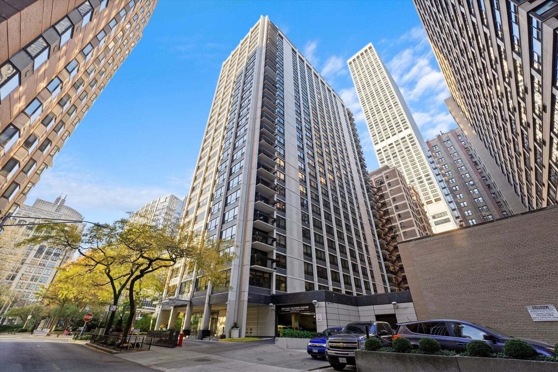 Condo in Chicago, Illinois, United States 1 - 18552653