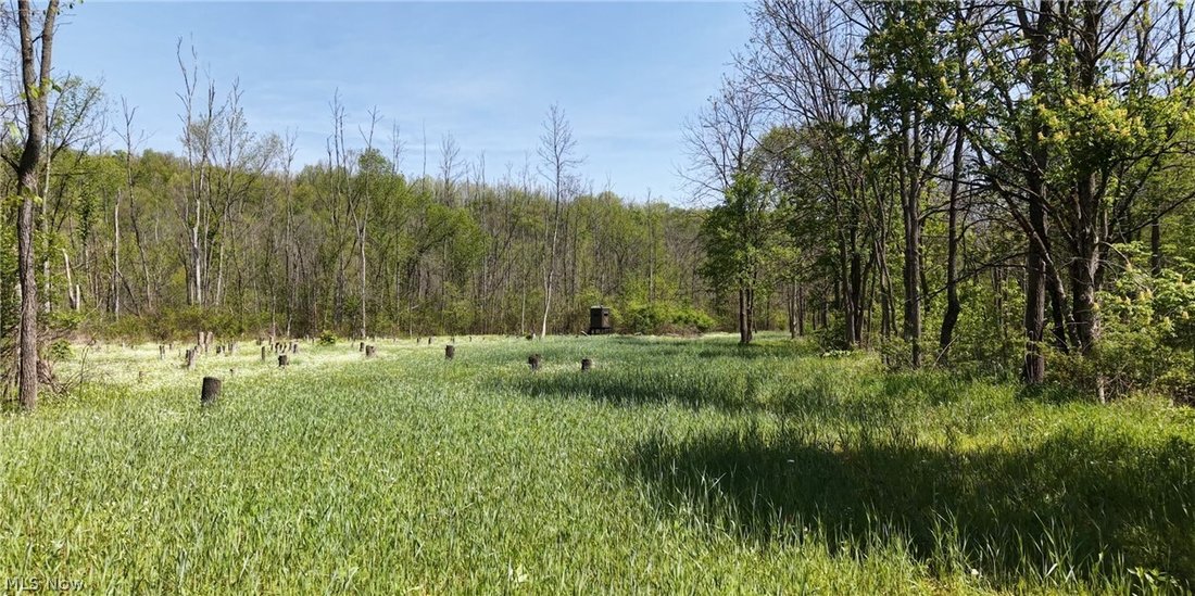 Land in Barnesville, Ohio, United States 4 - 18552254