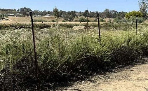 House in Temecula, California, United States 1