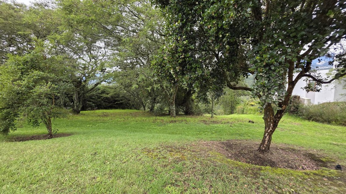 Land in Quito, Pichincha, Ecuador 1 - 18550396