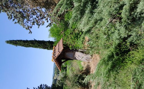 Haus in Chiusi, Toskana, Italien 1