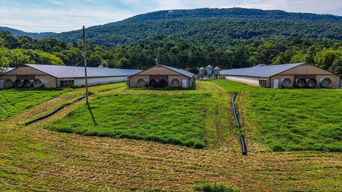 Whitwell, Tennessee, United States 2 - 18549894