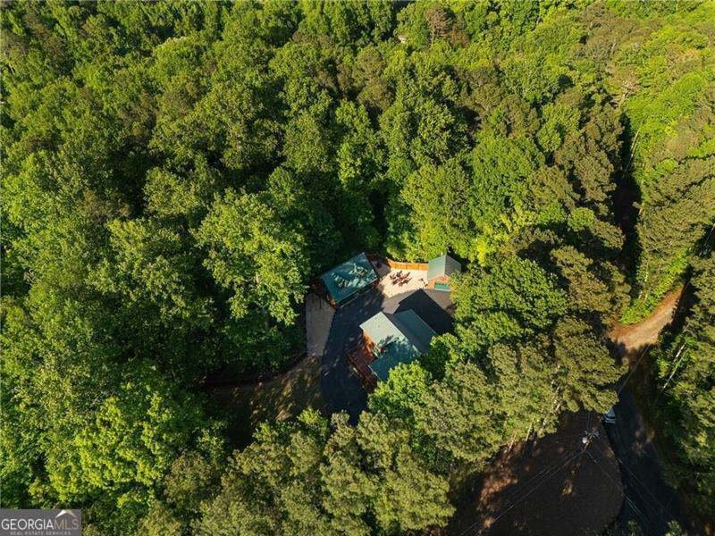 House in Canton, Georgia, United States 3 - 18548905