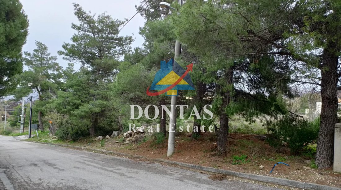 Land in Dionysos, Attica, Greece 2 - 18548214
