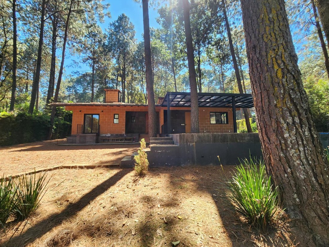 House in Cerro Gordo, State of Mexico, Mexico 2 - 18550710