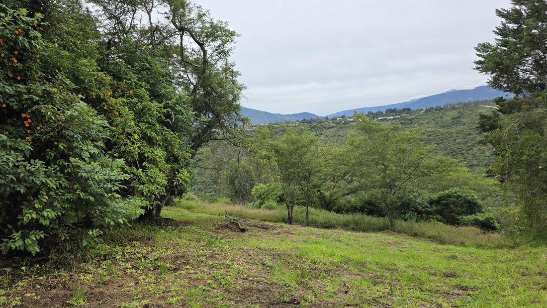 Land in Quito, Pichincha, Ecuador 2 - 18550396