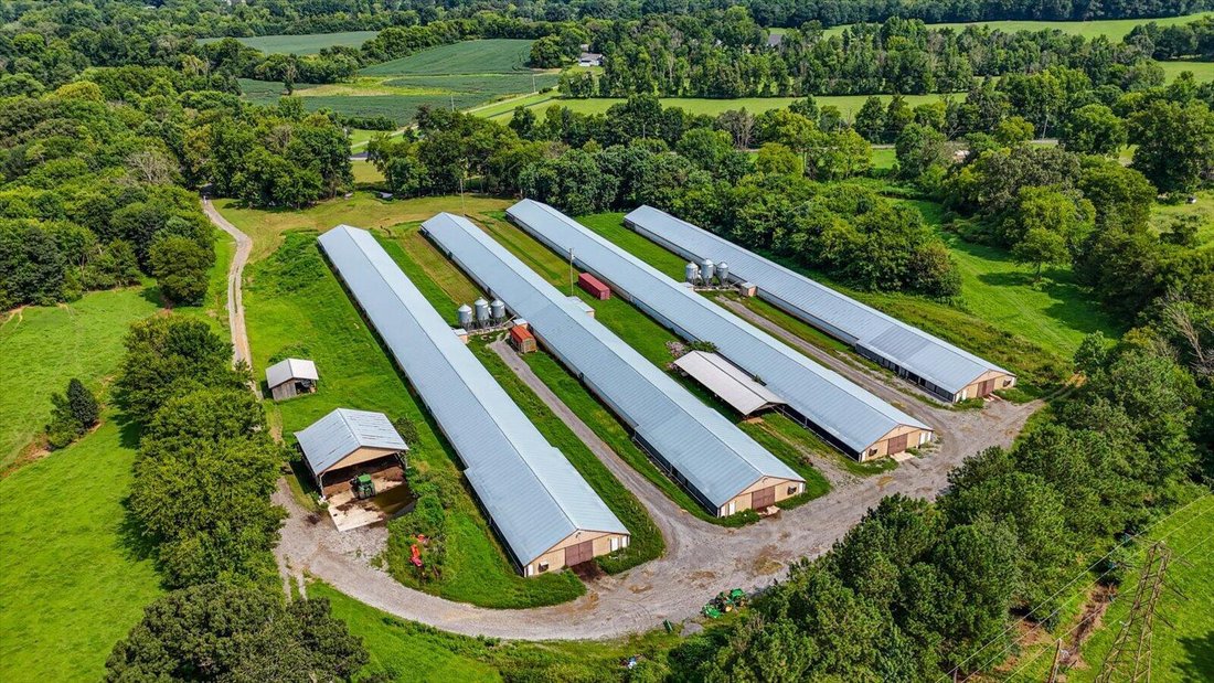 Whitwell, Tennessee, United States 1 - 18549894