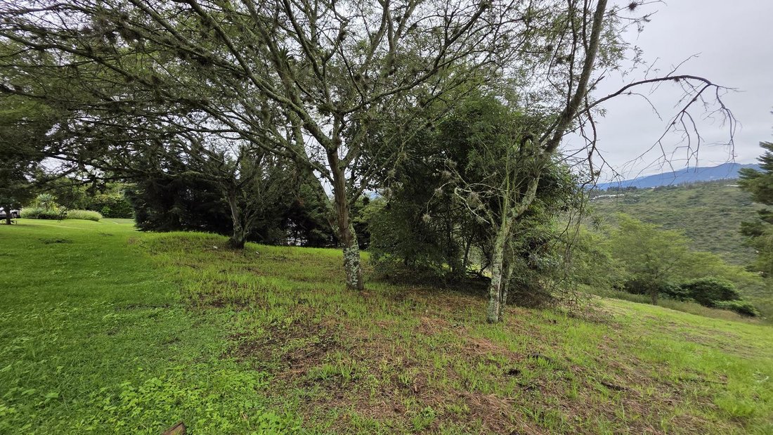 Land in Quito, Pichincha, Ecuador 3 - 18550396