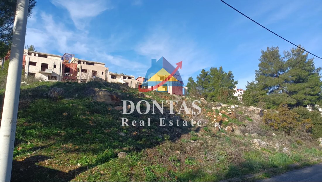 Land in Dionysos, Attica, Greece 1 - 18548214