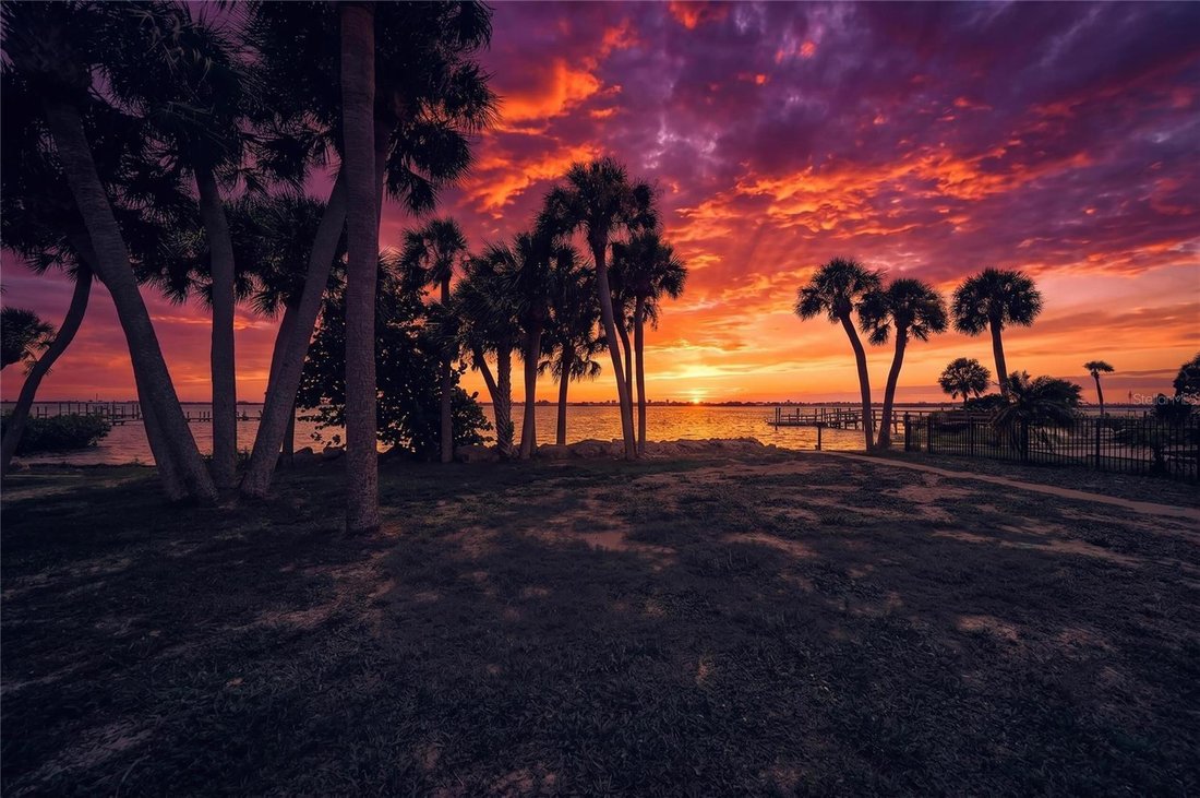 House in Englewood, Florida, United States 3 - 18551535