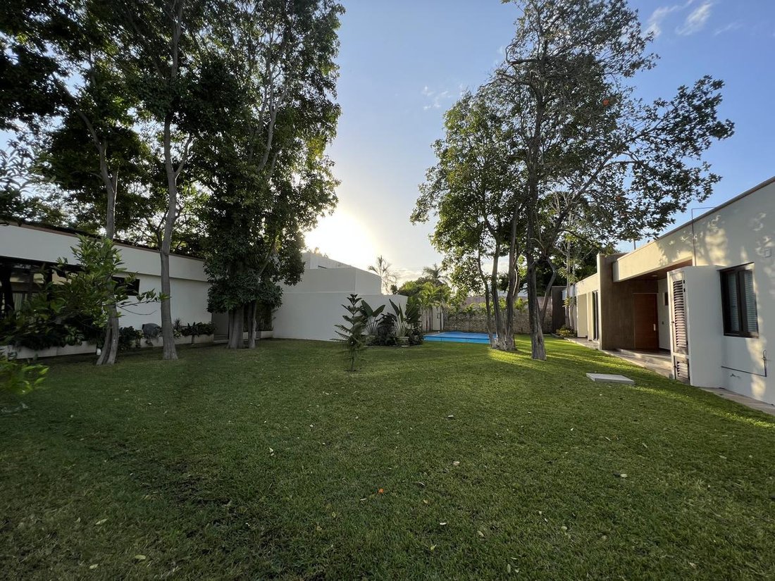 House in Mérida, Yucatan, Mexico 5 - 18549008