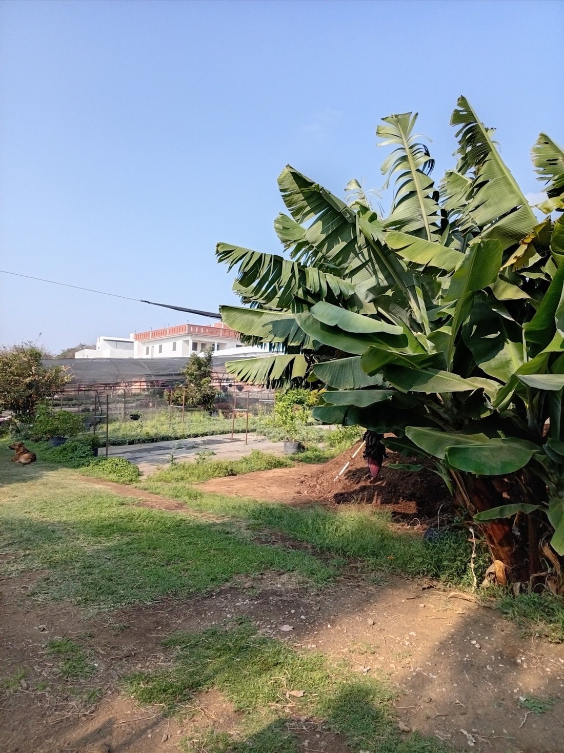 Land in Cuernavaca, Morelos, Mexico 2 - 18550500
