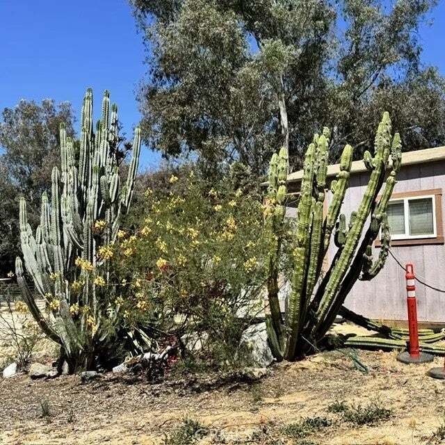 House in Temecula, California, United States 4 - 17799214