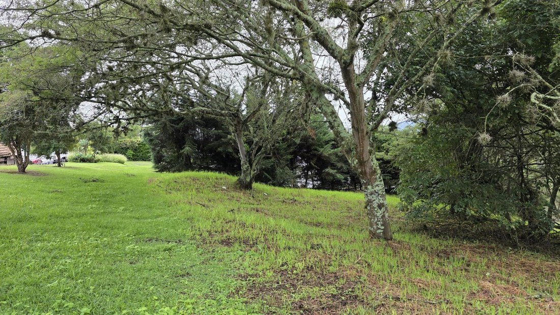 Land in Quito, Pichincha, Ecuador 4 - 18550396