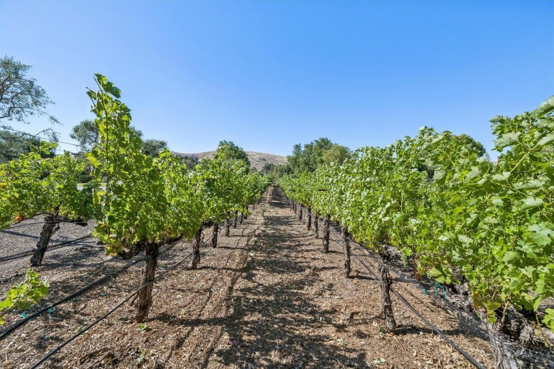 House in San Martin, California, United States 3 - 18549139